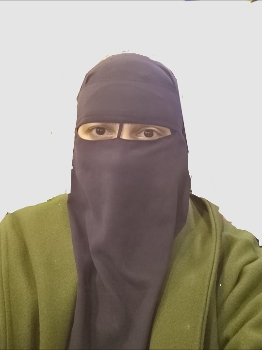 Hebatullah Elsayed AbdEl-Hameed Hassan 